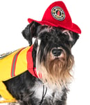 national fire pup day