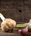 National Garlic Month