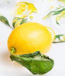 national lemon bar day