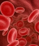 national lipid day