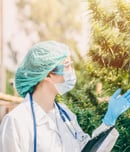 National Medical Cannabis Week