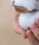 National Natural Fibers Day