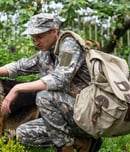 national pets for veterans day