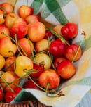national rainier cherry day