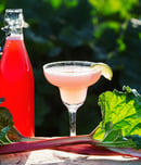 national rhubarb vodka day