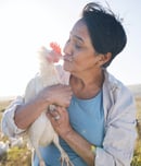 national snuggle a chicken day