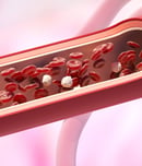 national triglycerides day