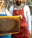 national urban beekeeping day