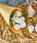 ontario garlic week
