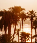 The Nile Festival