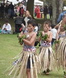 Pasifika Festival