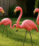 Pink Flamingo Day