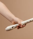 play the recorder day
