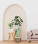 pull your sofa off the wall month