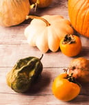 pumpkin festival