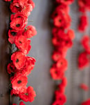 remembrance sunday