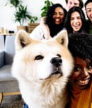 responsible animal guardian month