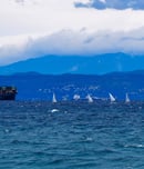 royal hobart regatta
