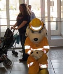safety pup day