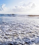 Sea Week