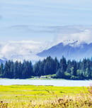 seward's day