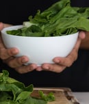 Spinach Lovers Month