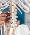 spinal cord injury awareness day