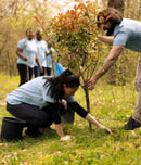 National Tree Week
