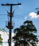 telegraph pole appreciation day