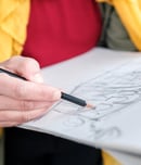 the big draw