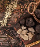 truffle days in croatia