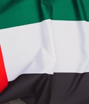 uae national day