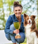 westminister dog show