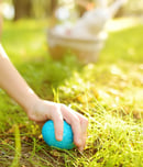 white easter egg rolling