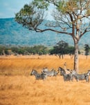International Wildlife Film Week