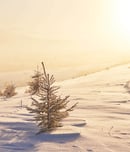 winter solstice