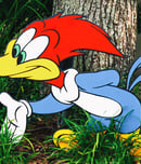 woody woodpecker day