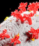 world amr awareness week