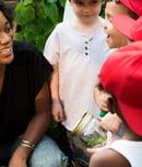 World Environmental Education Day