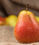 World Pear Day