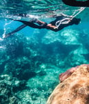 World Snorkeling Day