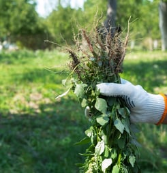 National Invasive Species Awareness Week