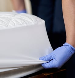 national bed bug prevention day