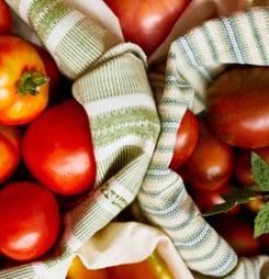 british tomato fortnight