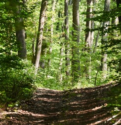 celebrate trails day