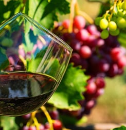 Beaujolais Nouveau Day