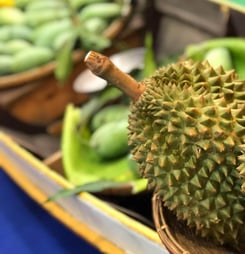 durian festival