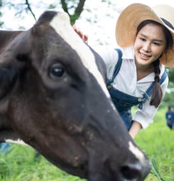 farm animals awareness week