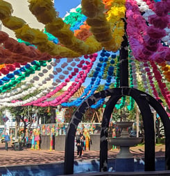 festa junina