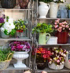 flower and patio show